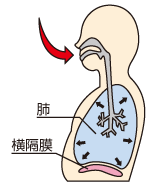息を吸うとき
